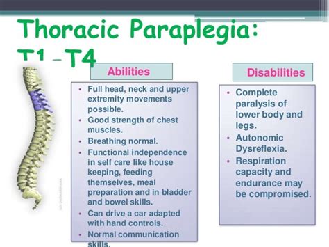 t4 spinal cord injury