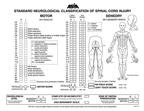 asia a spinal cord injury