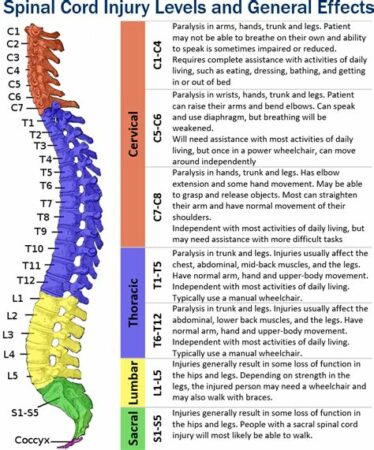 levels of spinal cord injury