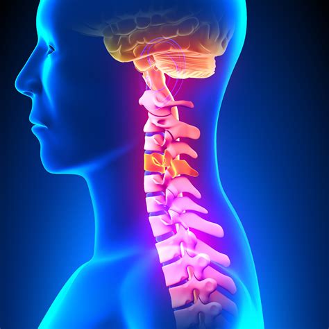 c4 spinal cord injury